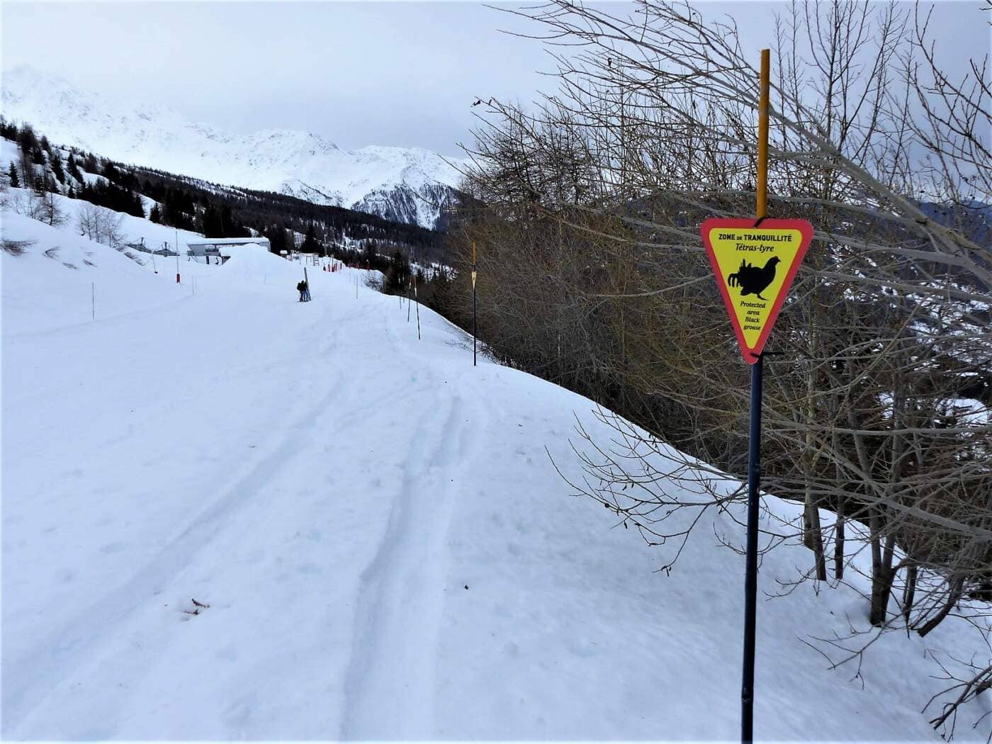 bord de piste les arcs