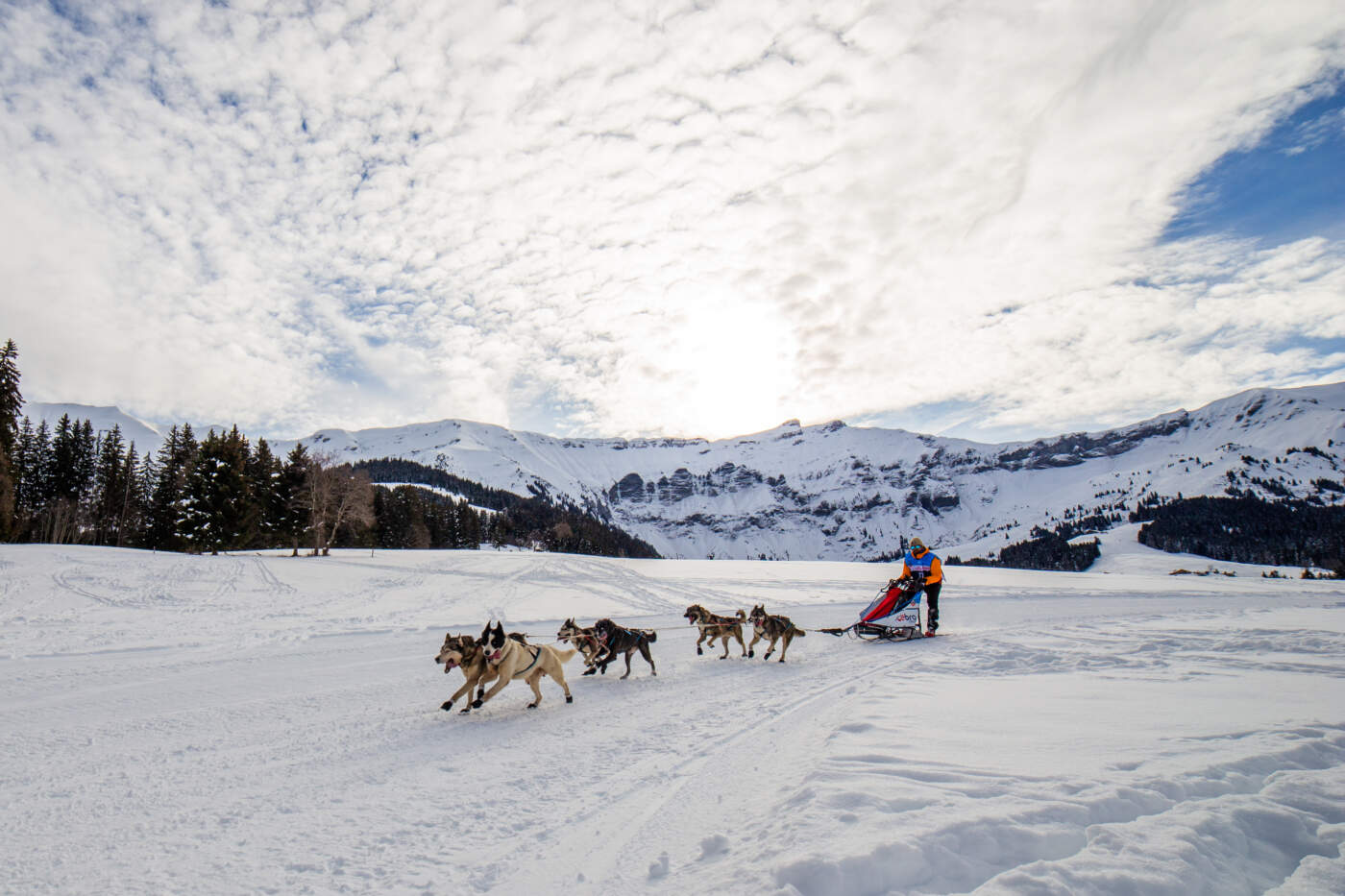 La Grande Odyssée 2025 les premières infos Actumontagne