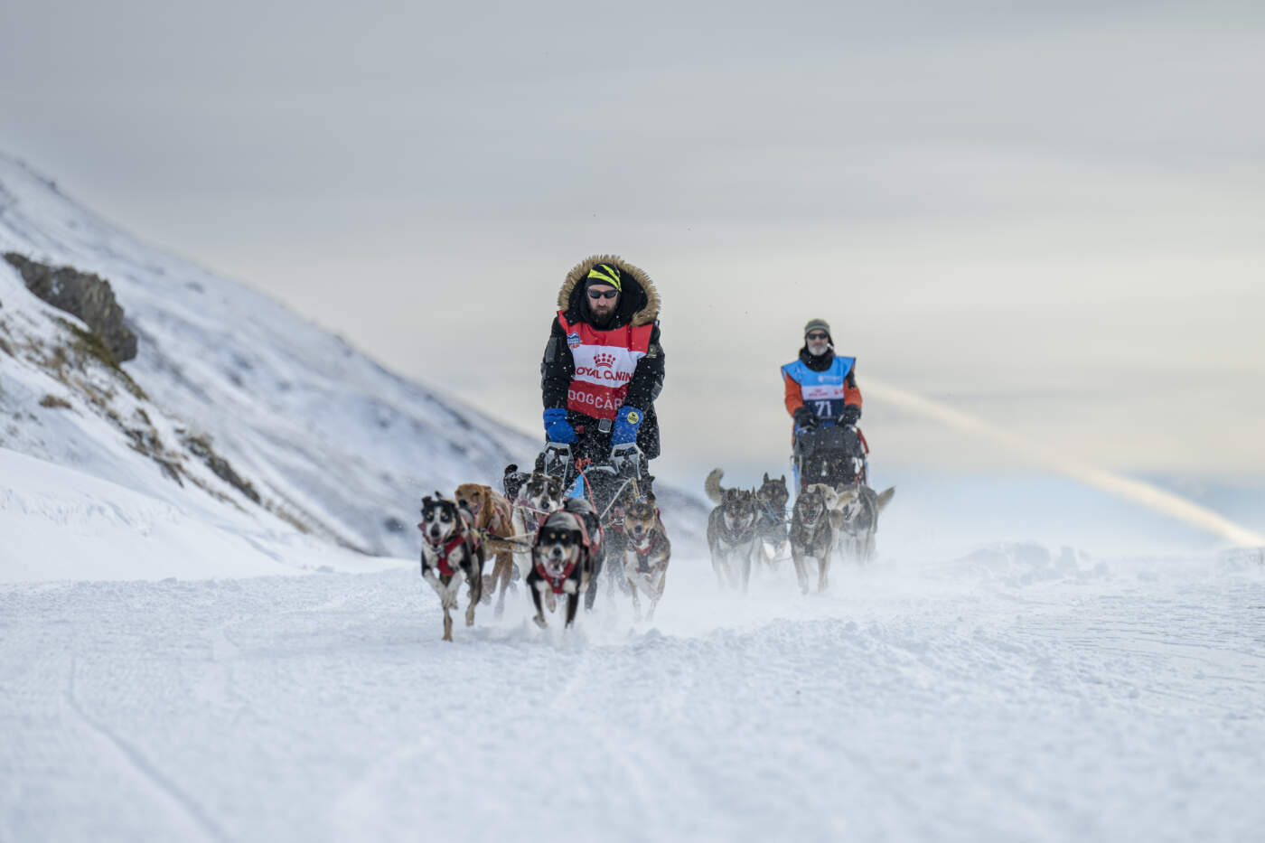 La Grande Odyssée 2025 les premières infos Actumontagne