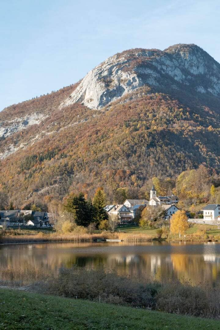 For&ecirc;t de montagne dans les Bauges