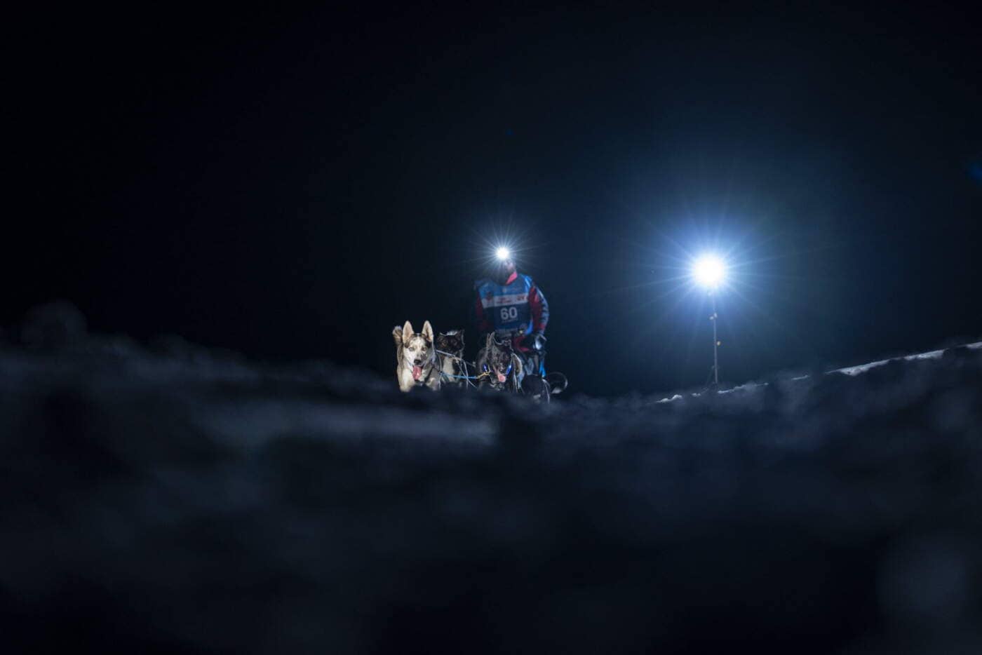 La Grande Odyss&eacute;e 2026 : course de chiens de traineaux de nuit